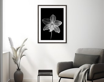 Orchid Flower Wall Art, Monochrome Floral Print, Orchid Flower Photography, Modern Black and White, Printable Artwork, Instant Download