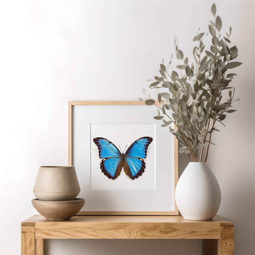 Giant Blue Morpho Butterfly Wall Art, Blue Butterfly, Insect Artwork ...