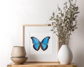 Giant Blue Morpho Butterfly wall art, Blue Butterfly, Insect Artwork, Butterfly Wall Art, Blue Morpho, Square Size Incould Instant Download