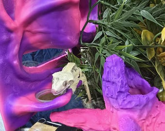 Magnetic Feeding Ledge + Hide w/ Planter — Gecko & Tree Frog Terrarium Décor | 3D Printed