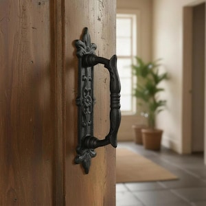 Door Handle with Ornate Backplate, Black Cast Iron Pull, 9"