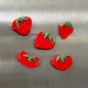 Set of 5 Tomato Magnets Polymer Clay