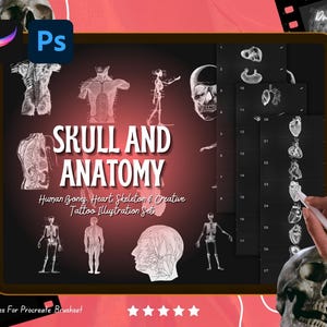Może przedstawiać: Zestaw sztuki cyfrowej z ilustracjami anatomicznymi czaszek, szkieletów i serc. Tytuł "SKULL AND ANATOMY" jest wyraźnie wyświetlany. Zawiera pędzle do Procreate i Photoshop, idealne do projektowania tatuaży i celów edukacyjnych.