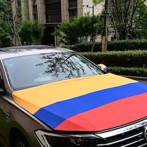 May include: A car with a hood cover featuring a tricolor design of yellow, blue, and red stripes. The car is a light brown color and is parked outdoors near trees and buildings.