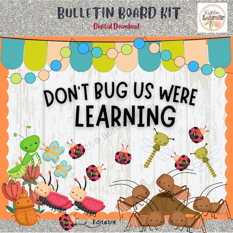 Learning Bug Bulletin Board Kit: Spring Classroom Decor (digital ...