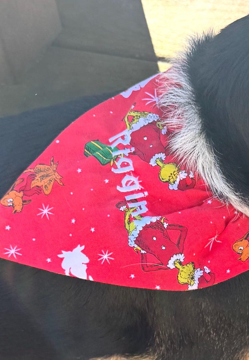 K&ouml;nnte beinhalten: Ein rotes, dreieckiges Haustierhalstuch mit einem wiederkehrenden Muster aus dem Grinch im Weihnachtsmannkost&uuml;m, gr&uuml;nen Geschenken und wei&szlig;en Sternen. Der Name Riggin ist in hellblauen Buchstaben diagonal aufgedruckt.