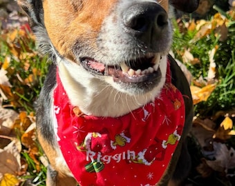 Pode incluir: Um cão tricolor com pelo preto, castanho e branco usa uma bandana triangular vermelha brilhante. A bandana apresenta um padrão repetitivo de personagens verdes e flocos de neve brancos, com o nome Riggin impresso em letras brancas.
