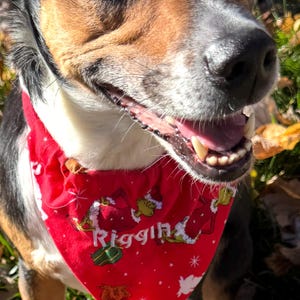 K&ouml;nnte beinhalten: Ein Hund mit schwarzem, braunem und wei&szlig;em Fell tr&auml;gt ein rotes, dreieckiges Halstuch. Das Tuch zeigt ein wiederkehrendes Muster aus gr&uuml;nen Zeichentrickfiguren, Geschenkkartons und wei&szlig;en Sternen sowie den Namen Riggin in wei&szlig;er Schrift.