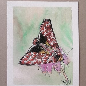 Knotenmotte - Tuschemalerei im Aquarell