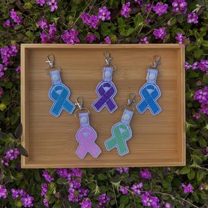 May include: Five different colored ribbon keychains with a silver key ring. The ribbons are light blue, purple, teal, pink, and green.