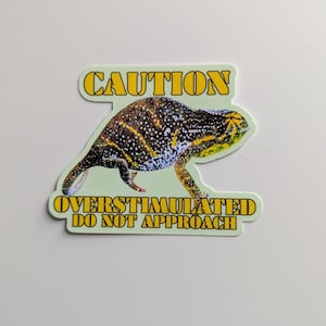 May include: A sticker featuring a chameleon with a brown, yellow, and white pattern. The sticker has the words "CAUTION" and "OVERSTIMULATED DO NOT APPROACH" in yellow text.