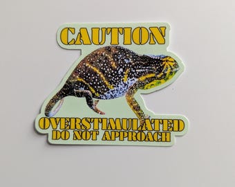 Caution Chameleon Sticker: Overstimulated Do Not Approach Millennial Meme, Original Picture