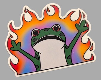 Rainbow Chaos Frog: Dumpster Fire Sticker, Laptop Water Bottle Accessories