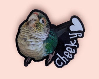 Cheeky Conure Sticker: Funny Parrot Laptop Decal