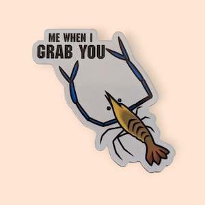 Può includere: Un adesivo raffigurante un gamberetto dei cartoni animati con chele blu e un corpo giallo e marrone. Il testo "ME WHEN I GRAB YOU" è stampato sopra il gamberetto in lettere nere su sfondo argentato.