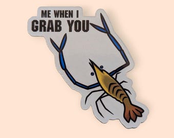 Grabbing Prawn Sticker: Water Bottle Laptop Decorations, Shrimp Enthusiast Gift