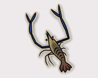Freshwater Prawn Sticker: Water Bottle Laptop Decorations, Shrimp Enthusiast Gift, Aquarium Enthusiast Accessories