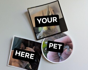 Custom Photo Sticker | Water-Resistant Laptop & Water Bottle Decal, Pet Portrait Art