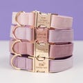 Luxury Dog Collar, Personalized Dog Collar Leash Set with Bow, Purple Pink Collar, Engraved Pet Name Metal Buckle, Collar for Wedding Gift product logo