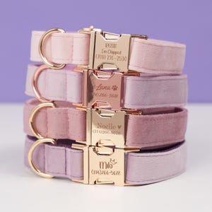 Luxury Dog Collar, Personalized Dog Collar Leash Set with Bow, Purple Pink Collar, Engraved Pet Name Metal Buckle, Collar for Wedding Gift