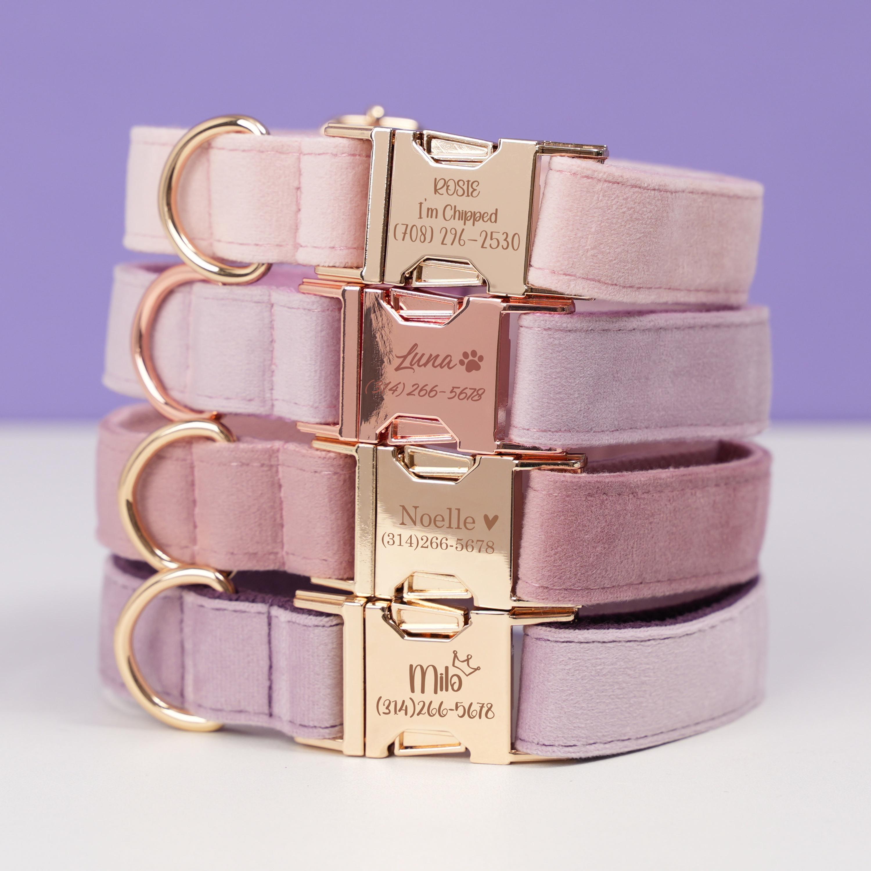 Martha Stewart Dog Collar Canada