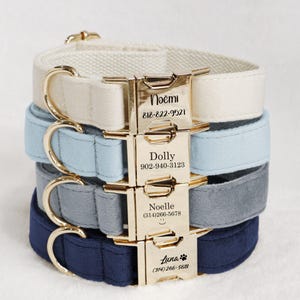 Op de afbeelding: Een stapel gepersonaliseerde hondenhalsbanden in crème, lichtblauw, grijs en marineblauw. Elke halsband heeft een goudkleurige gesp met een gegraveerde naam en telefoonnummer. De halsbanden zijn gemaakt van zachte stof.