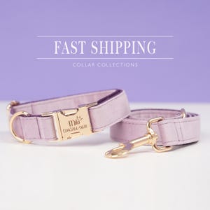 Könnte beinhalten: Ein lavendelfarbenes Hundehalsband und ein passendes Leinen-Set. Das Halsband hat eine goldfarbene Schnalle mit dem Namen "Milo" und einer Telefonnummer. Der Text "Fast Shipping" und "Collar Collections" ist über den Produkten zu sehen.