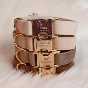 Personalisiertes Hundehalsband, benutzerdefinierte Samt Haustierhalsband Leinen Set mit Schleife, verstellbares Hundehalsband, Haustier Namensschild, Hochzeit Welpen Geschenk