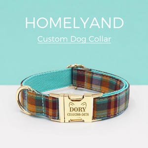 May include: A dog collar featuring a plaid pattern in shades of orange, brown, and teal with a gold-toned metal buckle. The buckle is engraved with the text DORY and the phone number 314-266-5678. The text HOMELYAND Custom Dog Collar is visible.