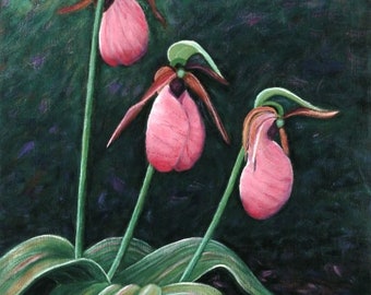 Pink Lady Hausschuhe Kunstdruck - Botanischer Kunstdruck - Maine Slipper Orchidee Kunst - Natur malerei - Rosa Orchidee Kunst - Maine Garden Art -