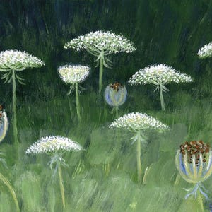 Queen Anne&#39;s Lace Art Print - Maine Wildflower Art - Maine Wildflower Garden Art - White Flowers Art - Mother&#39;s Day Gift - Maine Queen Anne