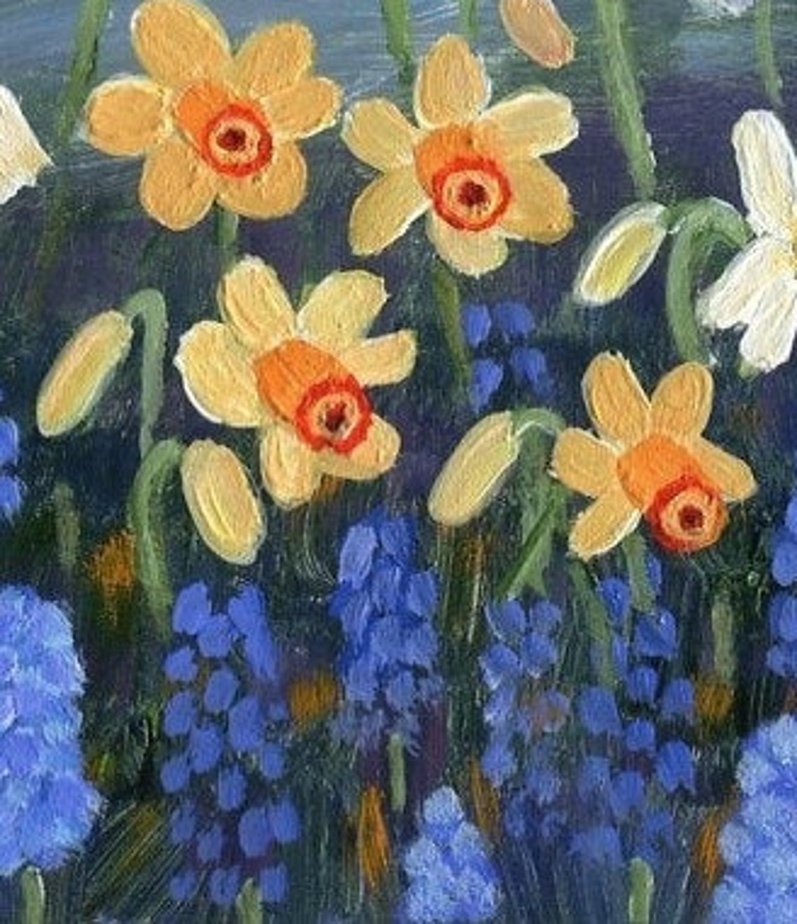 Yellow Daffodil Art Print Maine Garden Daffodils Art Etsy