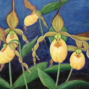 May include: A painting of yellow lady slipper orchids with green leaves against a blue background.