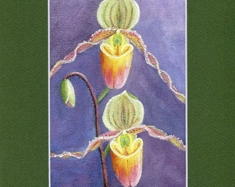 Lady Slipper Art Print - Pink Orchid Art  - Maine Orchid Art Print - Nature Orchid Print - Lady Slipper Art - Lady Slipper Orchid Print