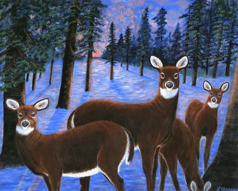 May include: Three brown deer stand in a snowy forest. The deer are facing the viewer, with their heads turned slightly to the side. The forest is filled with tall, dark green trees. The snow is a light blue color.
