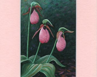 Lady Slipper Orchid Art - Matted Wildflower Print - Valentine Pink