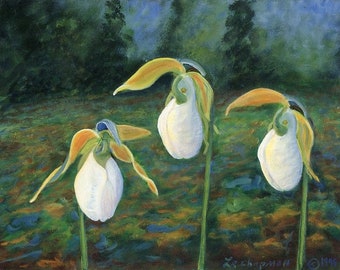 Lady Slipper Art - White Orchid Print – Maine Forest Garden - Not A Live Plant