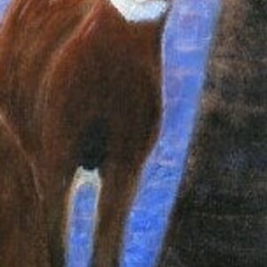 May include: A brown and white deer with large ears stands in a snowy forest. The deer is looking directly at the viewer. The background is a blurred blue and white.