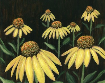 Coneflower Art – Yellow Floral Print - Cottage Garden