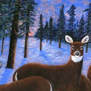 May include: Three brown deer standing in a snowy forest. The deer are looking at the viewer. The forest is filled with tall, dark green trees. The snow is a light blue color.