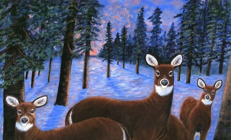 May include: Three brown deer standing in a snowy forest. The deer are looking at the viewer. The forest is filled with tall, dark green trees. The snow is a light blue color.
