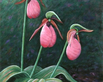 Lady Slipper Art - Pink Orchid Print – Maine Wildflower - Not A Live Plant
