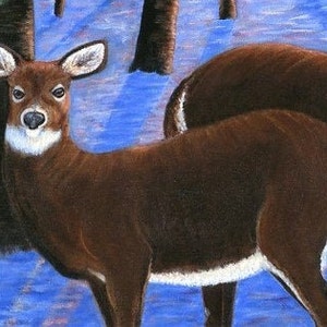 May include: Two brown deer standing in a snowy forest. The deer are facing different directions. The deer in the foreground is looking directly at the viewer. The background is a blurry blue and white.