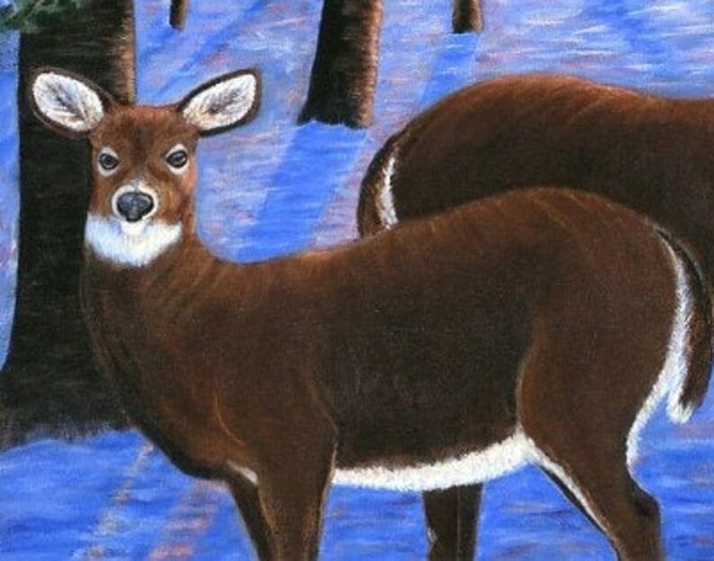 May include: Two brown deer standing in a snowy forest. The deer are facing different directions. The deer in the foreground is looking directly at the viewer. The background is a blurry blue and white.