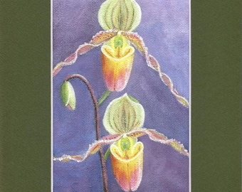 Arte de zapatilla de dama - Impresión de orquídea rosa y verde - Decoración floral con paspartú