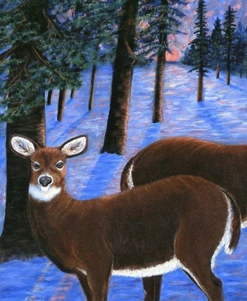 May include: Two brown deer standing in a snowy forest with tall trees. The deer are facing the viewer, and the one in the foreground is looking directly at the camera.