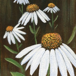 Coneflower Painting - White Coneflower Painting - White Coneflower Art - Maine Coneflower Painting - Maine Coneflower Garden Art - Acrylic