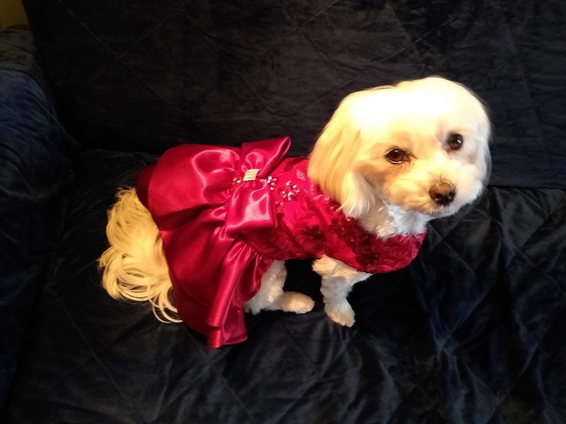 Dog Wedding Dress Dog Christmas Dress Fancy Red Dog Dress Etsy