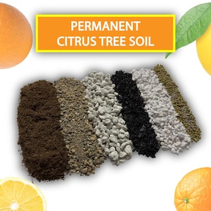May include: Image of Permanent Citrus Tree Soil. The image shows six different soil samples in a row, each with a different texture and color, ranging from dark brown to light gray. The text "PERMANENT CITRUS TREE SOIL" is in a yellow box.