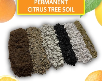 Citrus Tree Potting Soil Mix – Permanent/Reusable Soil – Chunky Well Draining Potting Soil Mix for Citrus - Lemon, Orange, Lime, Cactus